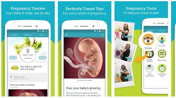 memilih aplikasi untuk ibu hamil: pregnancy trecker